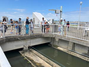 夏休み親子環境ツアーの画像